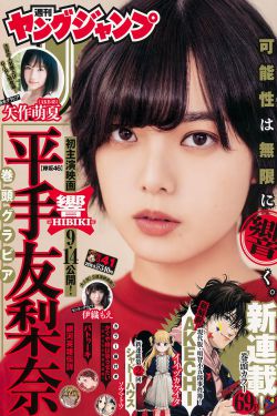 艺术创想中文版